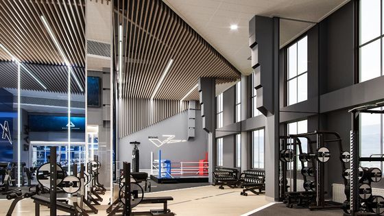 Langit-langit Logam Aluminium 50x150 Ultra Mikro Perforasi U Baffle